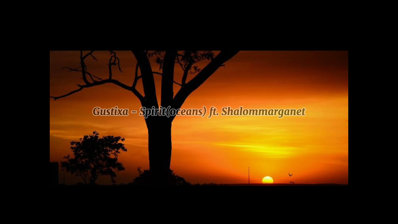Gustixa - Spirit(oceans) ft. Shalom marganet