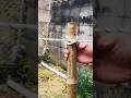 杭に簡単に結ぶ ロープワーク 杭に簡単に結ぶ ロープワーク
