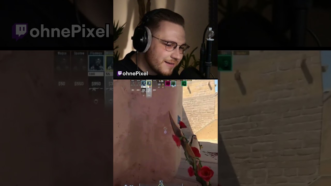 There are penguins from Madagascar in CS? 