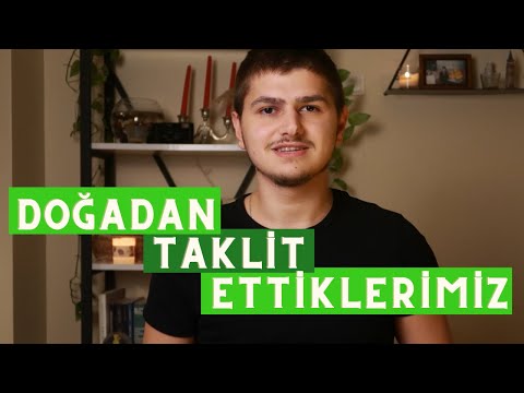 Video: Ve Yine Doğayı Taklit Etmek