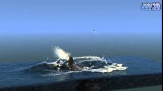 Whale Test Realflow.. Again...