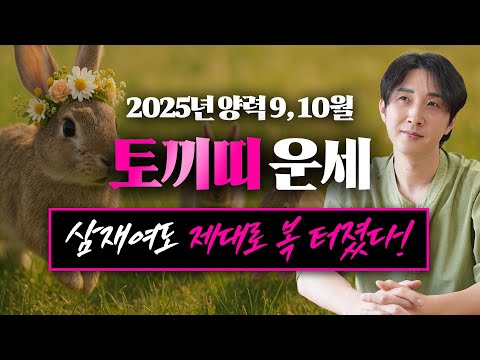 2025년 을사년 양력 9 10월 토끼띠 운세 두 번 다시 없을 최고의 행운이 온다 99년생 87년생 75년생 63년생 51년생