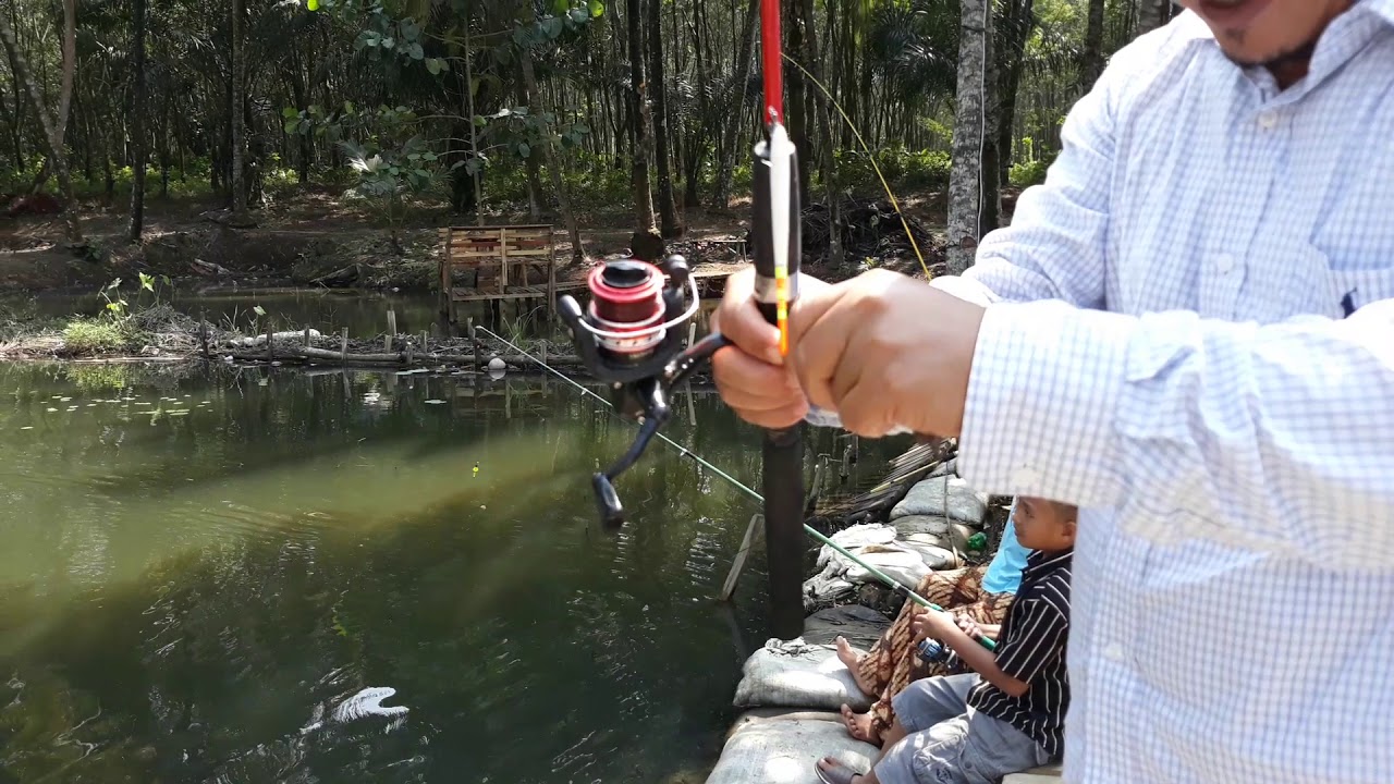 Mancing RAWA