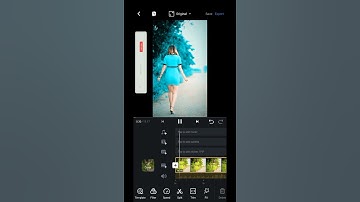 OMG😲 Video Background Colour Change Photo Editing | Change Video Colour VN Video Editor | #shorts