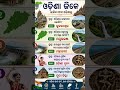 Odisha GK MCQ Quiz | Competitive Exam Preparation 📖#gkodisha #odishagk #odishagkquiz #trendingshorts