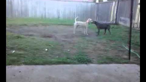 video-2012-04-05-19-53-21.3gp