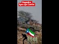 Dagal Toos Liyuu Boolis Iyo Canfarta Shortsvideo Somalia Somaliland Africa Usa Hargeysa Dagal Toos Liyuu Boolis Iyo Canfarta Shortsvideo Somalia Somaliland Africa Usa Hargeysa