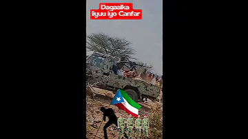 Dagal Toos Liyuu Boolis Iyo Canfarta Shortsvideo Somalia Somaliland Africa Usa Hargeysa 
