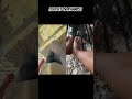 its a feet or a hands #ytshorts #funny #dailyvlog #dailyshorts