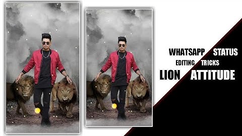 Make A New Lion WhatsApp Status || Editing in Kinemaster || Video Editing || Capital Editx || Part5