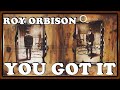 You got it  guitar cover by the vhbl