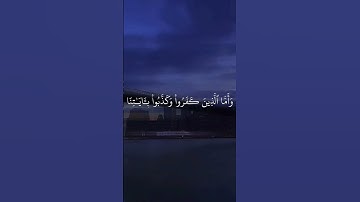 سورة الروم| القارئ: ياسر الدوسري #قرآن