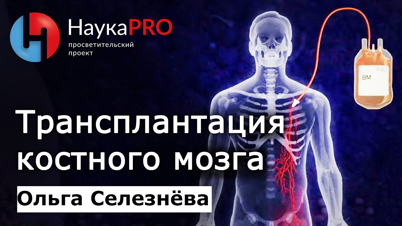 Трансплантация (пересадка) костного мозга: кому, когда и как? – Ольга ...