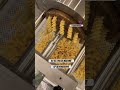 50 Kg Pasta Machine Mini Pasta Maker Minipastamachine Pastamachinery Pastaline Pastaplant 