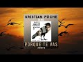 Jeanette Porque Te Vas Remix Kristian Puche Music Electro House Remix 