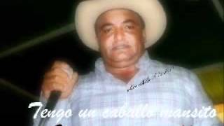 Vitico castillo - tengo un caballo mansito