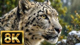 You Need This Nature 🌿 8K Wildlife Escape for Deep Relaxation &amp; Sleep