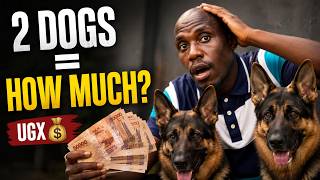 How Much Does It Really Cost to Own 2 Dogs
