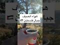 هواء جبال فلسطين وصاجية تعيد ضبط اعداداتك 💚