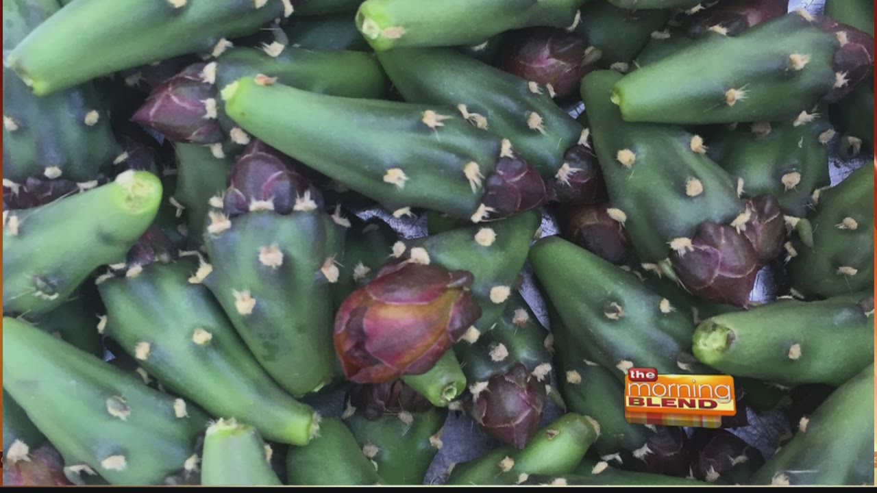 Desert Harvesters YouTube