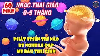 🎧 Nhạc thai giáo kích thích thai đạp 👶🧠 Nhạc thai giáo phát triển trí não. Nhạc thai giáo cho mẹ bầu
