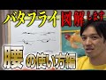 【バタフライ】「腰を残す」これめちゃくちゃ大事です!わかりやすすぎる図解で解説します!#150