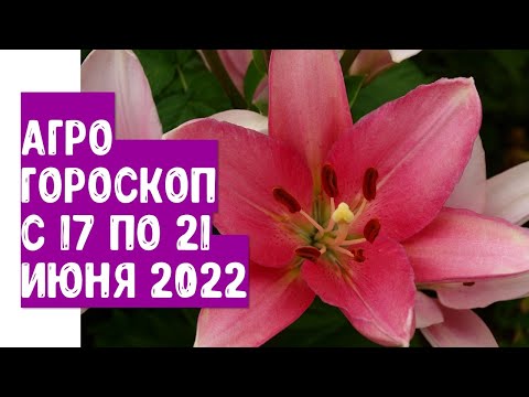 Video: Hvorfor virker sporen grønn mens cellekroppen ser rosa ut?