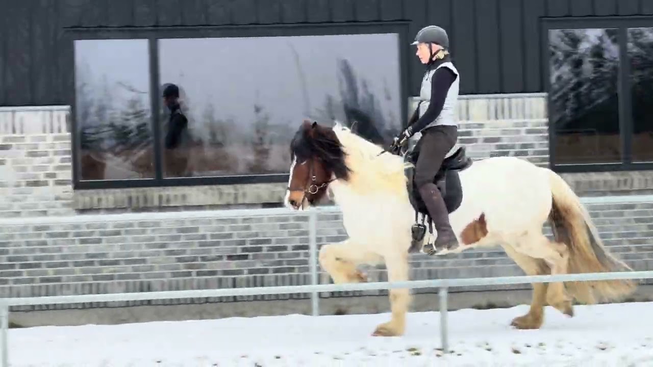 Ásdís fra Krummegaard