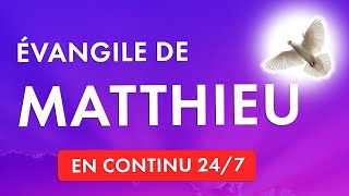 🔴 ÉVANGILE de MATTHIEU en  LIVRE AUDIO Complet 🙏 ÉCOUTER la BIBLE