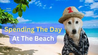 Taking your dog to the beach - Dogs In Water #dogsinwater