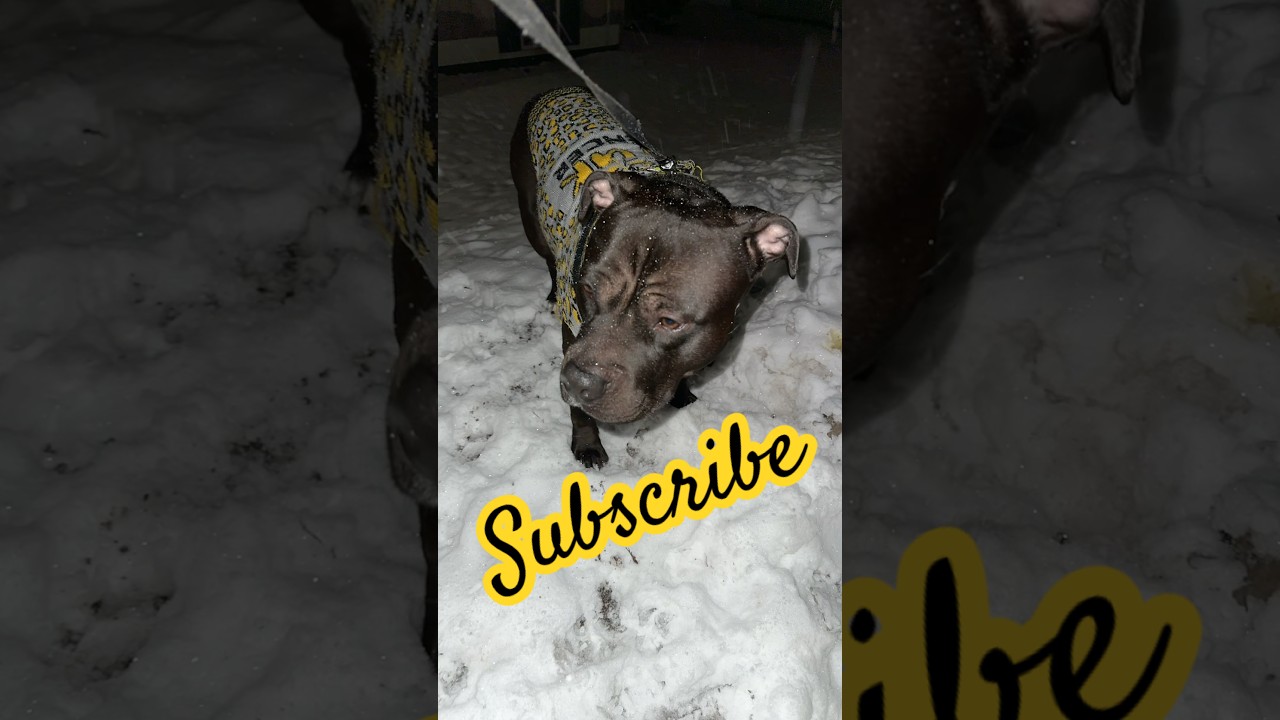 Chill Boy that was close 