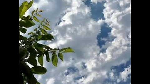 سورة الكهف تلاوة بصوت القارئ محمد الغزالي