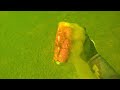 I Found a Rusted Gun Underwater