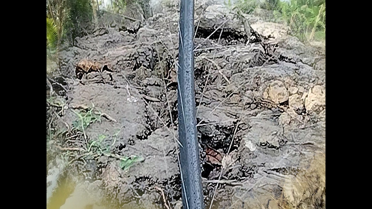 MÔ HÌNH TƯỚI NƯỚC TỰ ĐỘNG TIẾT KIỆM HIỆU QUẢ   PHẦN 2