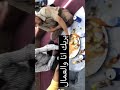 سنابات بدر البلوي 