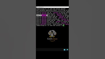 How to install Java on Rocky Linux 10
