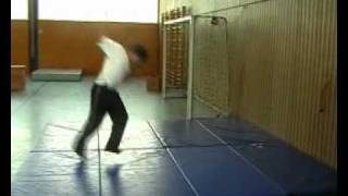 Team Superflight Trickz Sampler No.1.avi