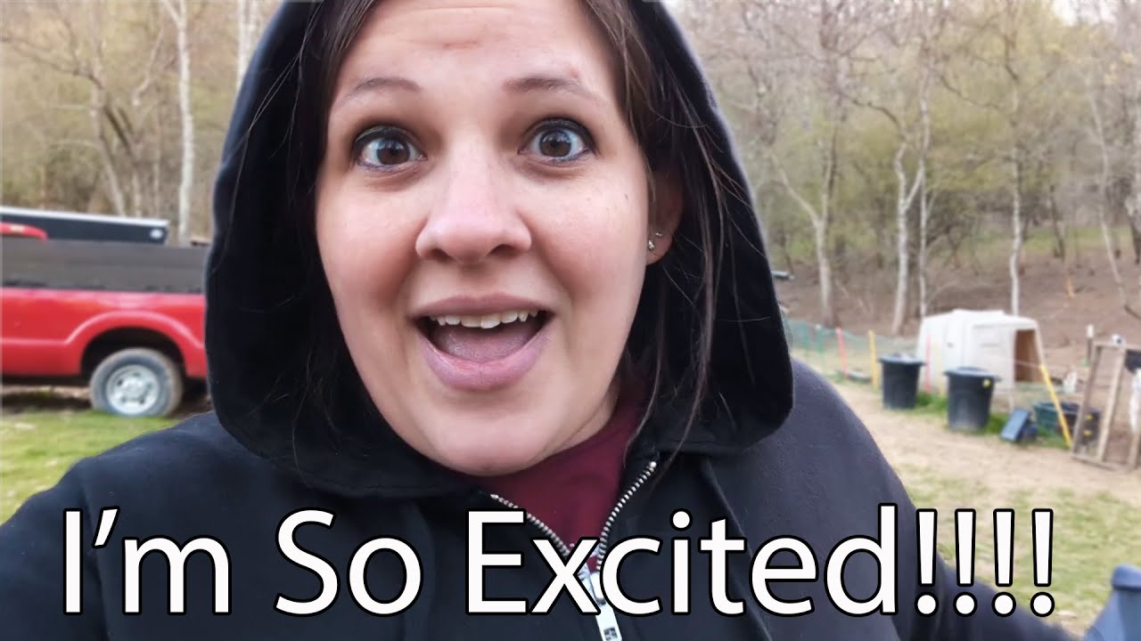 I Cant Believe This Is Happening!!! YouTube