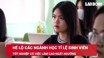 Hé lộ các ngành học tỉ lệ sinh viên tốt nghiệp có việc làm cao ngất ngưởng | Báo Lao Động