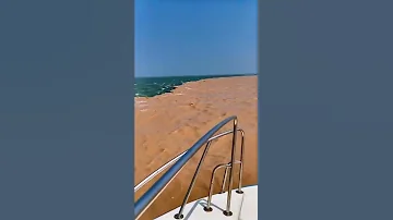 River Meets Ocean 