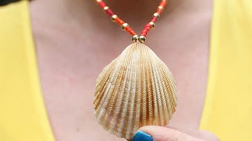 How To Create a Pretty Seashell Necklace - DIY Style Tutorial - Guidecentral
