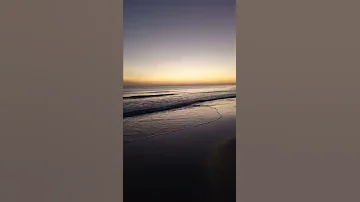 الدنيا ريشة في هواء 