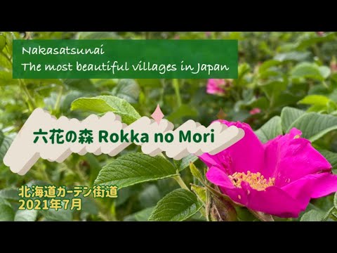 六花の森 Rokka no Mori                     🌺🌺🌺〜 北海道ガーデン街道HOKKAIDOGARDENPATH〜