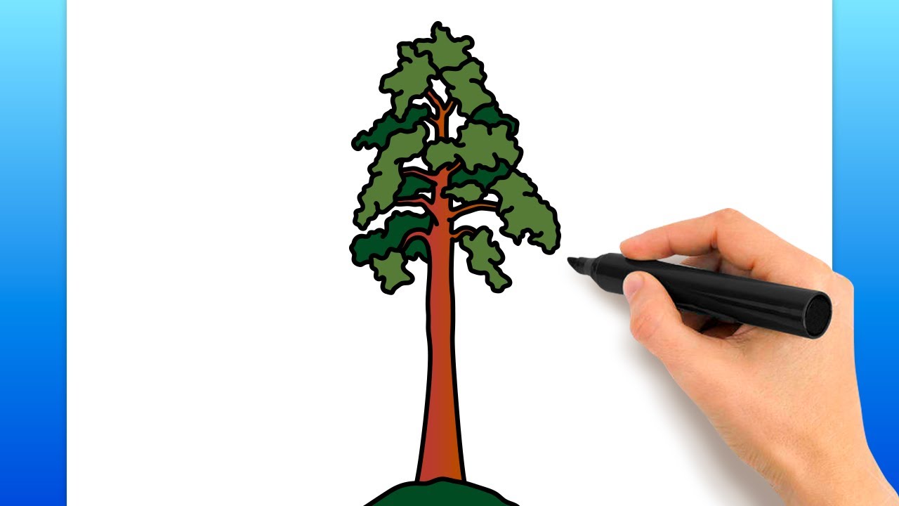 Hyper-realistic Redwood Tree Pencil Drawing with Detailed Character Design  Stock Illustration - Illustration of imagination, drawing: 299425833