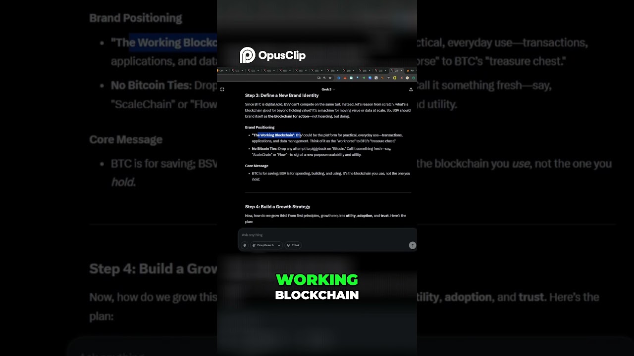 BSV Growth Strategy : Focus on Utility and Everyday Users 