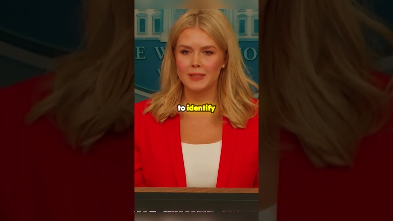 Accountability for Leakers in the Administration