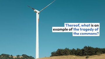 What is the tragedy of the commons What