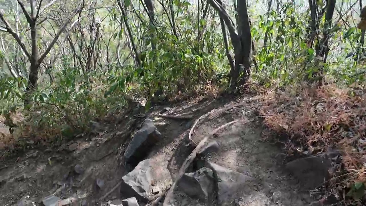 Vuelta del tecolote 1