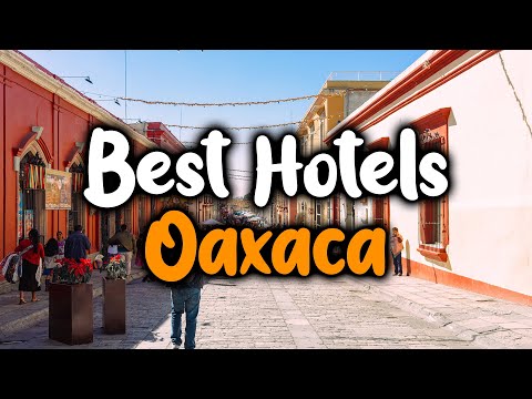 Best Hotels In Oaxaca - For Families, Couples, Work Trips, Luxury & Budget