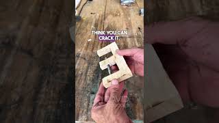 Can You Actually Solve The Wooden E Screw Puzzle?